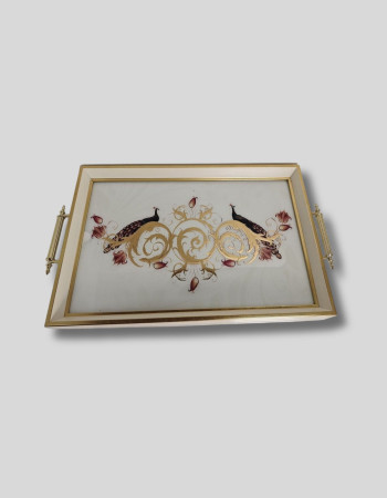 Special Design Plastic Framed Glass Printed Presentation Serving Tray Special Design Plastic Framed Glass Printed Presentation Serving Tray