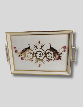 Special Design Plastic Framed Glass Printed Presentation Serving Tray Special Design Plastic Framed Glass Printed Presentation Serving Tray